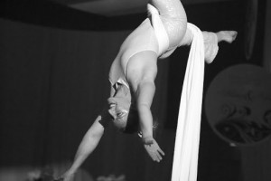 Aerial Silks